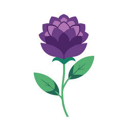 statice flower isolated flat on white background vector image