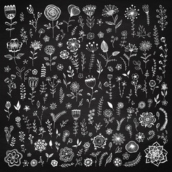 Floral Sketch Elements Vector Image