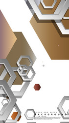 Abstract geometric backgrounds with hexagon stone vector