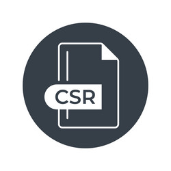 csr file format icon extension filled vector image