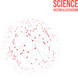 sphere with connected lines and dots wireframe vector image