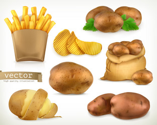 potato and fry chips vegetable 3d icon set vector