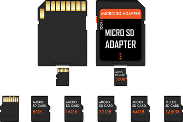 micro sd memory card and adapter vector image