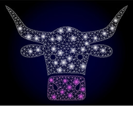 bright web net beef head with lightspots vector image