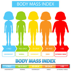 visual representation of bmi categories and ranges vector image