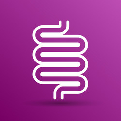 flat modern design with shadow icons large vector image