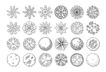 hand drawn set top view tree vector image
