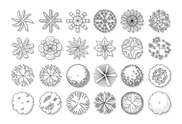 Hand drawn set top view tree vector