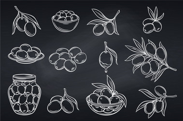 olives and tree branches vector image