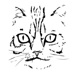 black cat face icon isolated on white. vector cat face. flat cat line  illustration Stock Vector Image & Art - Alamy