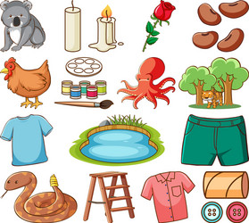 Large set different animals and other objects vector