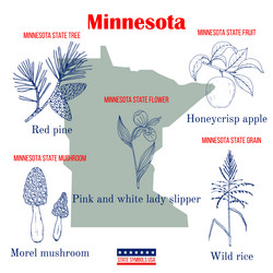 Minnesota State Symbols vector