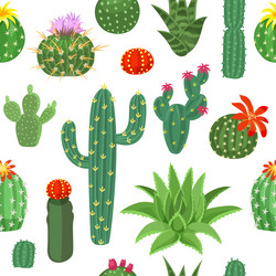 seamless pattern with colorful cactuses aloe vector image