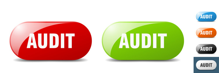 audit button key sign push set vector image