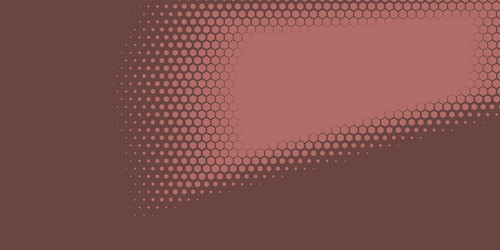 Geometric abstract hexagon two color background vector
