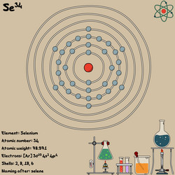 infographic element selenium vector