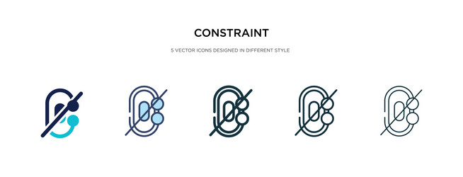 constraint icon in different style two colored vector image