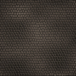 Black dragon skin background realistic squama Vector Image
