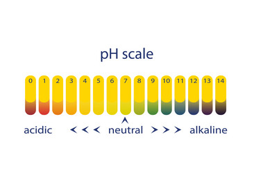 Acidity scale of litmus indicator paper vector