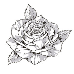 rose bud monochrome vintage emblem Vector Image