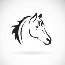 Horse Head Silhouette, White Background Vector Image