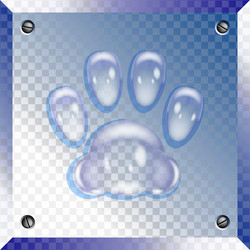 transparent square glass icon with animal paw vector