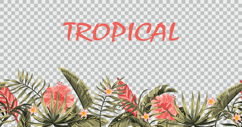 Floral border seamless background with tropical Vector Image