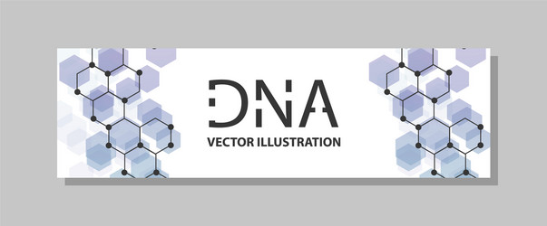 molecular structure with connected lines and dots vector image
