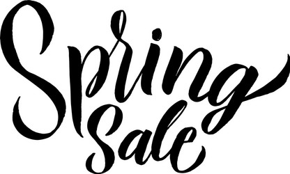 Spring trendy script lettering design sale vector