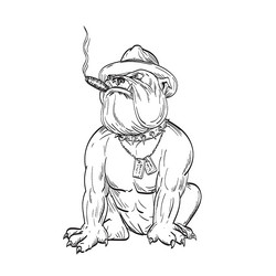 Smoking Bulldog Sergeant Major Vector Image