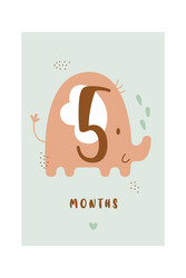 5 months baby card milestone vector