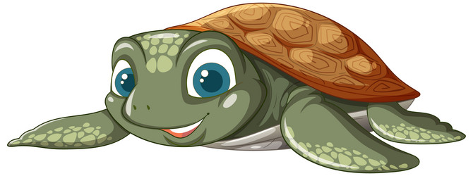 cute turtle with a friendly expression and shell vector image