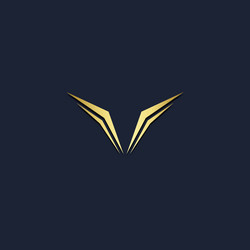 Vintage v letter logo with premium decoration Vector Image
