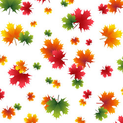 autumn yellowed maple leaf on a white background vector