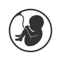 Ultrasound fetus Royalty Free Vector Image - VectorStock
