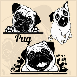 Pug - set for t-shirt logo and template vector