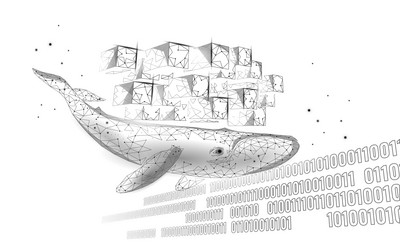 whale and container computer docker developer app vector