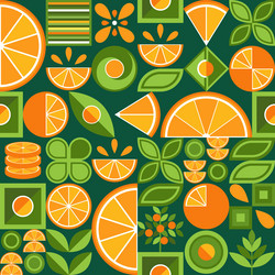 seamless background with oranges in simple style vector image