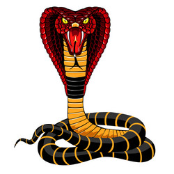 Cobra Snake Photos, Download The BEST Free Cobra Snake Stock Photos & HD  Images