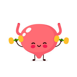 Cute happy smiling bladder doing exercises vector