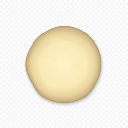 Bread dough isolated vector