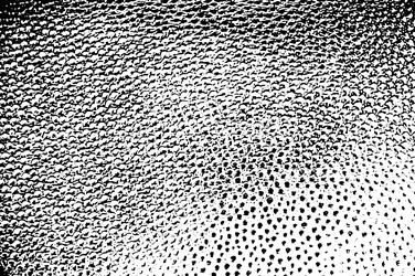 grunge dots and points texture background vector image