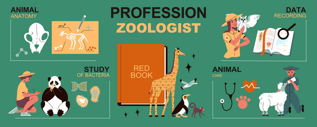 profession zoologist infographics layout vector