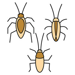 Cockroach bug icons set color vector