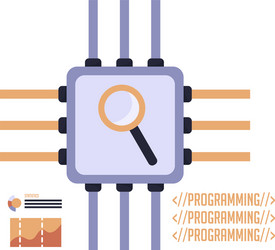isolated search code programming vector image