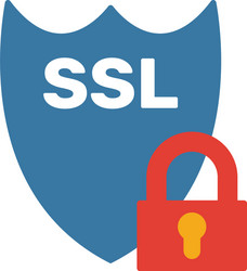 ssl icon simple element from web hosting icons vector image