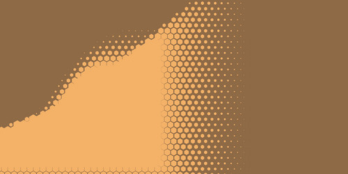 geometric abstract hexagon two color background vector image