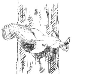 Tree house sketch engraving Royalty Free Vector Image