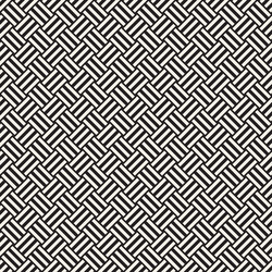 abstract geometric pattern with stripes lattice vector image