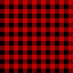 Red Buffalo Check Pattern vector image